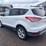 2014-ford-escape-image-4