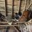 #2341-•-all-contents-in-rafters-image-3