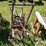 #3243-•-vintage-wood-hose-reel-with-plastic-hose-reel-image-6