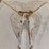 simonsen-smc1754s-image-10