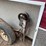 #5819-•-2004-ice-trailer-(sells-bill-of-sale)-image-13