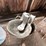 #2336-•-everything-under-workbench-image-9