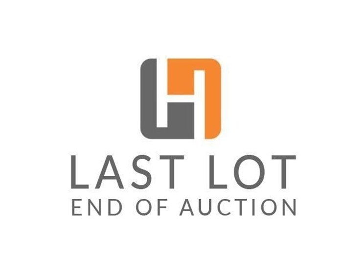 #99999-•-last-item-of-the-auction-image-1