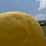 redball-420-image-32