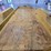 2019-felling-ft-10p-image-9
