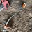 #2290-•-stihl-fs36-weed-wacker-and-dayton-leaf-blower-image-15