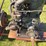 (2)-cushman-engines-image-19