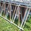 (16)-5-head-lock-gates---total-of-80-head-image-4