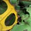 john-deere-bo-lindeman-image-51