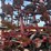 salford-570-image-11