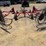 2016-maschio-gaspardo-girasole-t8c-hay-rake-image-3