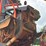 2022-volvo-a30g-image-16