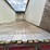 wilkens-walking-floor-image-11