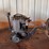 (2)-briggs&-stratton-engines-image-5