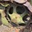 john-deere-bo-lindeman-image-11