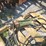 oliver-hydraulic-cylinder-w/hoses-image-1