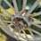 john-deere-model-a-image-6