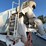 1994-mack-dm690s-image-26