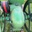 john-deere-e-1-1/2hp-image-16