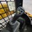 2021-caterpillar-259d3-image-16