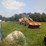 dresser-520b-image-2