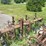 oliver-4r30"-3pt-hitch-cultivator-image-8