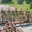 oliver-4r-3pt-hitch-rotary-hoe-image-8