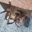troy-bilt-horse-rear-tiller-image-21