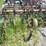 oliver-4r30"-3pt-hitch-cultivator-image-12