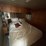 2006-winnebago-diesel-pusher-motorhome-abilene,-tx-image-10