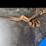 #21-•-lot-21-image-1