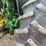 john-deere-4440-image-15