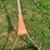 scott-silent-push-reel-lawn-mower-image-6
