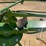 krone-rotary-tedder-kw-5.52/4x7t-image-12