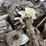 kubota-zd321-image-11