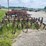 oliver-4r30"-3pt-hitch-cultivator-image-4