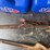 #22-•-lot-22-image-1