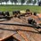 woods-batwing-mower-image-9