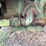 john-deere-m-image-12
