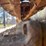 john-deere-bo-lindeman-image-14