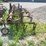 oliver-4r30"-3pt-hitch-cultivator-image-2