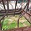 round/big-square-bale-feeder---20-head-capacity-image-10
