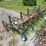 oliver-4r30"-3pt-hitch-cultivator-image-7