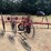 2016-maschio-gaspardo-girasole-t8c-hay-rake-image-2