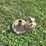 long-backhoe-hydraulic-pto-pump-image-1