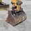2018-caterpillar-303.5e2-cr-image-12