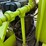meyer-3k-wp-diesel-powered-4-station-accumulator-closing-unit,-skidded-image-7