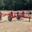 2016-maschio-gaspardo-girasole-t8c-hay-rake-image-1