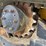2021-jcb-3ts-8t-image-30