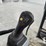 2021-caterpillar-306cr-image-20